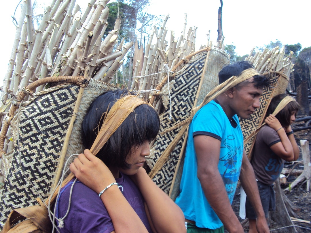 Texto cotidiano doméstico